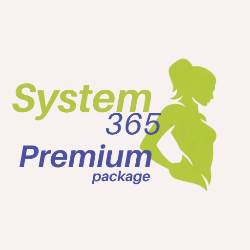 System365 Premium Support package — 2 Weeks of Direct Access